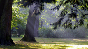 Teploty v kraji se přiblíží ke třicítce