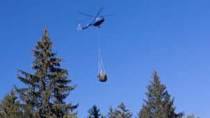 V Jeseníkách probíhá vyřezávání kleče