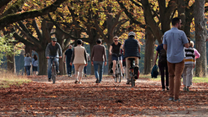 Olomouc se zúčastní kampaní Deset tisíc kroků a Do práce na kole
