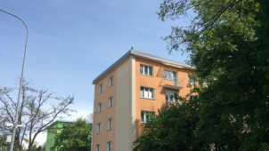 Atrapa sovy vylekala ženu, která přivolala strážníky