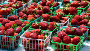 Dívka prodávala jahody a meruňky, neměla ale povolení