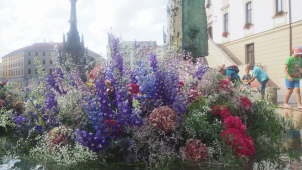 Arionova kašna po roce opět krásně rozkvetla