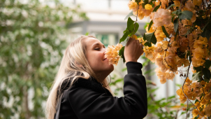 Petimetrový trůn a desítky tisíc květin, to bude jarní Flora
