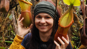 České masožravé rostliny i vzácné „masožravky“ ze Stolových hor
