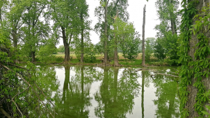 Řeka na dosah, z komárů nikdo strach mít nemusí, říká Petr Loyka