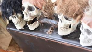 V zoo na Svatém Kopečku odstartoval Strašidelný týden