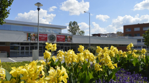 Symbolem jarní Flory je strom