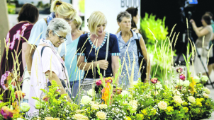 Co přinese letošní letní Flora? Léčivou sílu semen