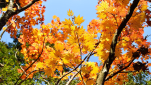 I dnes se rtuť teploměru mrkne až na dvacítku