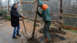 V zoo dosázeli stromy, poslední vysadil Janek Ledecký