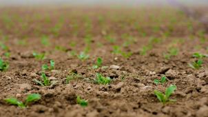 Odpůrci záboru orné půdy znovu protestovali