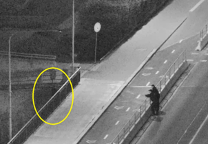 Před půlnocí skočila do řeky, strážníci ji zachránili