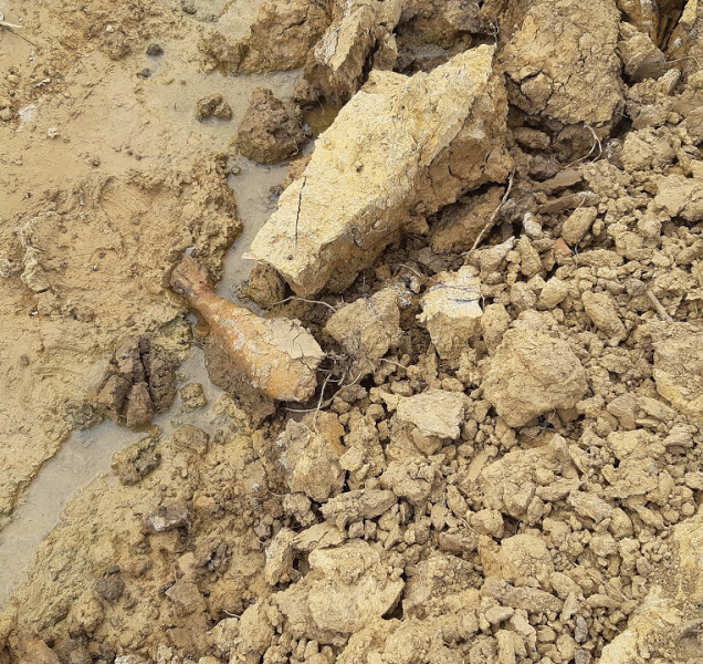 Nevybuchlá mina na Přerovsku: Našli ji dělníci při výkopu