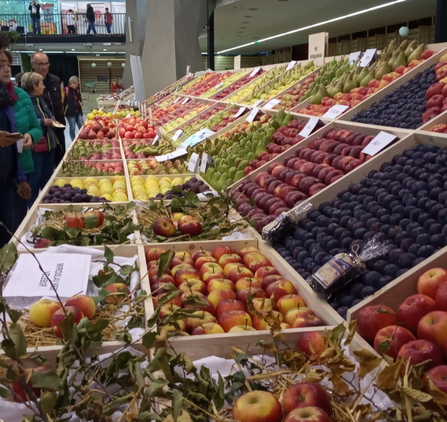 Podzimní Flora se uskuteční