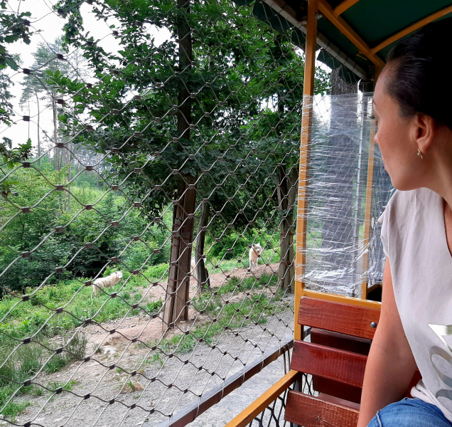 Olomoucká zoologická zahrada zavírá na neurčito