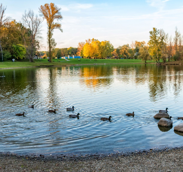 Dno přerovské Laguny je čistší, pomohly bakterie