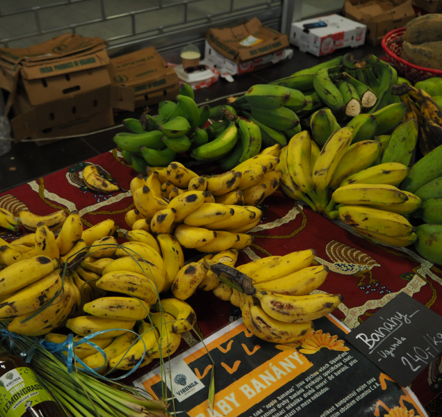 Africké trhy provoněly centrum Olomouce