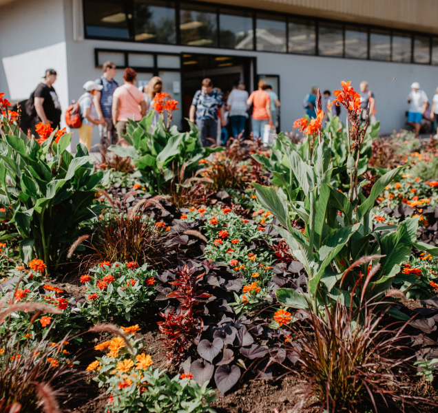 Letní Flora Olomouc připomene léčivou moc přírody i dávné visuté zahrady. Místo v programu má také letní For Model