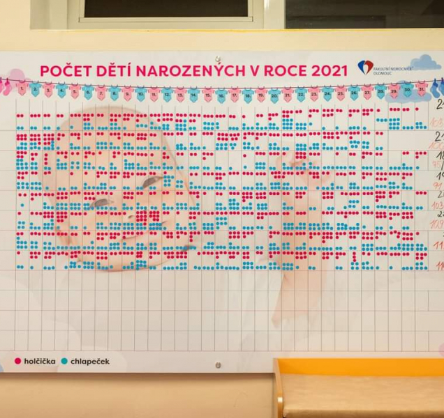 Srpen v porodnici Fakultní nemocnice Olomouc patřil holčičkám