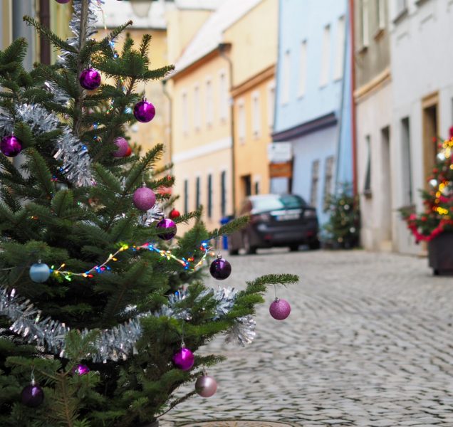Šemberovu ulici v centru zdobí vánoční stromečky. Takto vypadá
