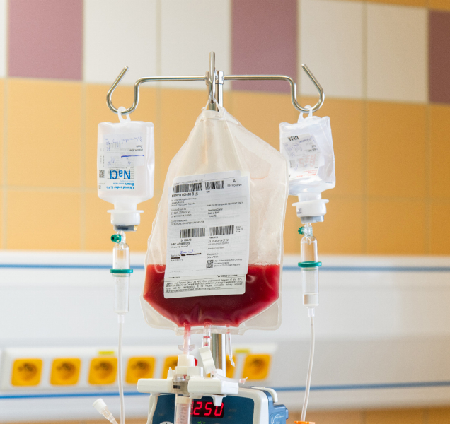 Čtvrtstoletí od startu transplantačního programu