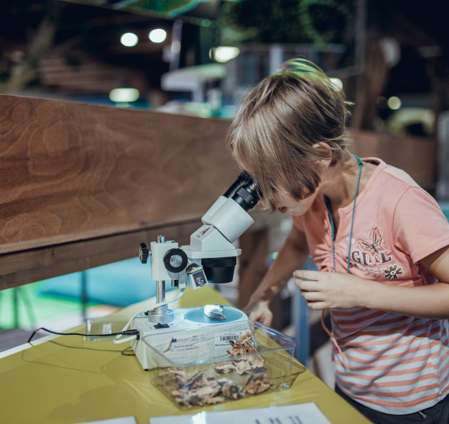 Pevnost poznání představí rozmanitý svět hub