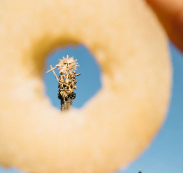 Tvarůžky, koncerty, Olomoucký loket a další k zahájení sezóny