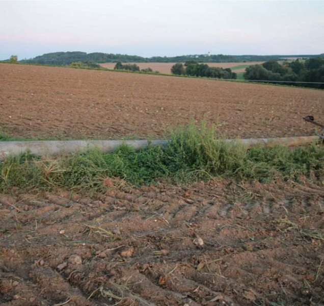 Mladý muž se strojem na řepu zrušil elektrické vedení