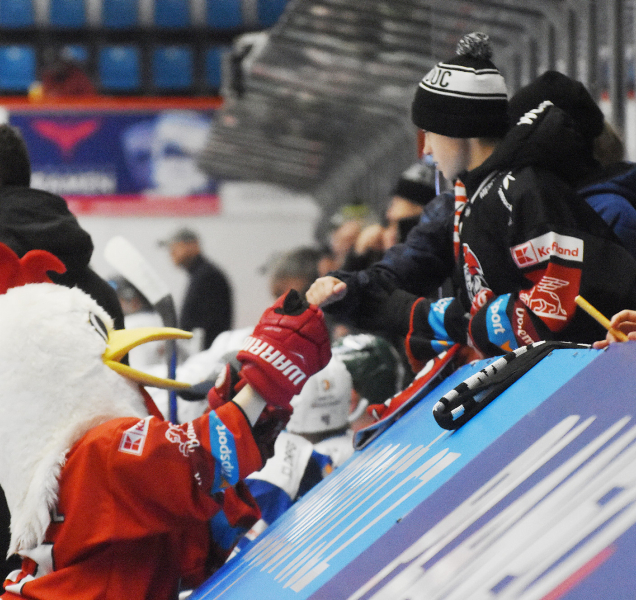 Program sportovních akcí na Olomoucku