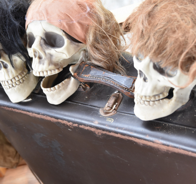 V zoo na Svatém Kopečku odstartoval Strašidelný týden