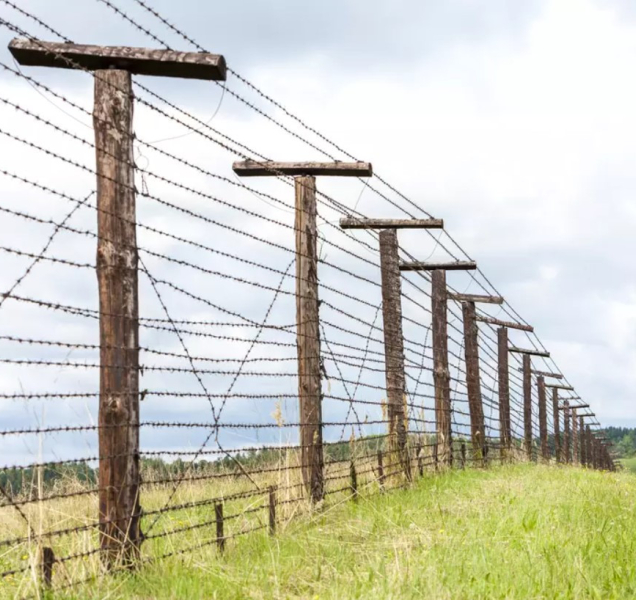 Otázky na zítřek i příští roky