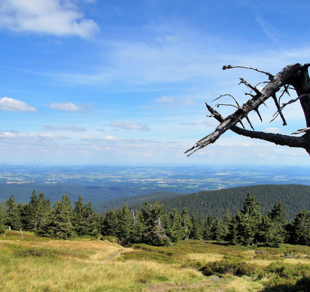 Injekce turistickému ruchu v Jeseníkách, díl druhý