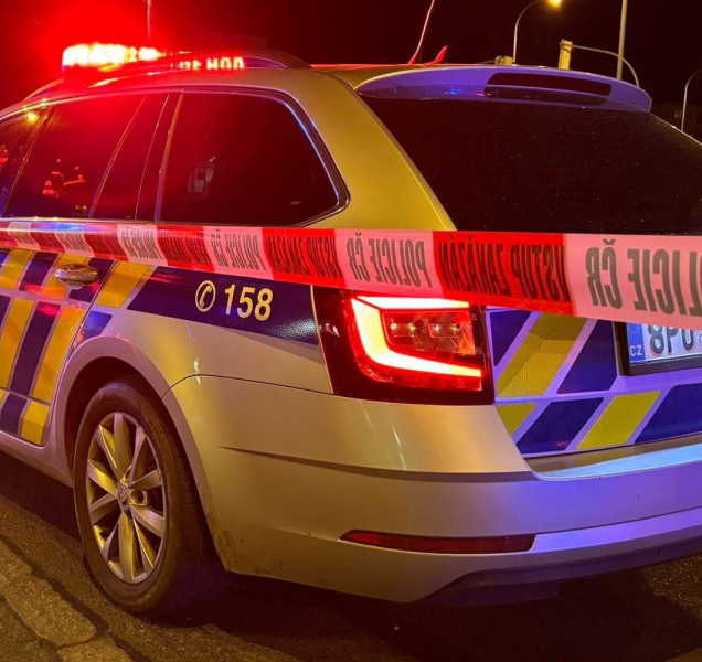 Muž propuštěný z vězení zavraždil svou družku