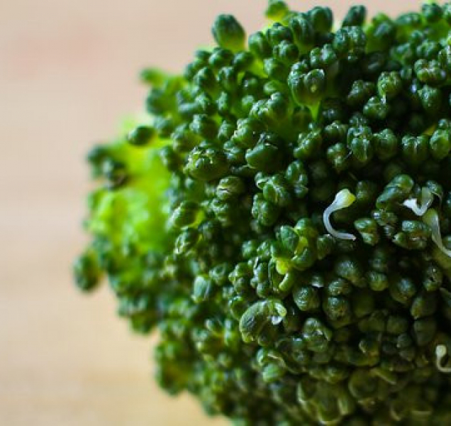 Recept na brokolicovou polévku, která je výborná