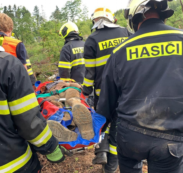 Muže v Pohořanech zavalil strom
