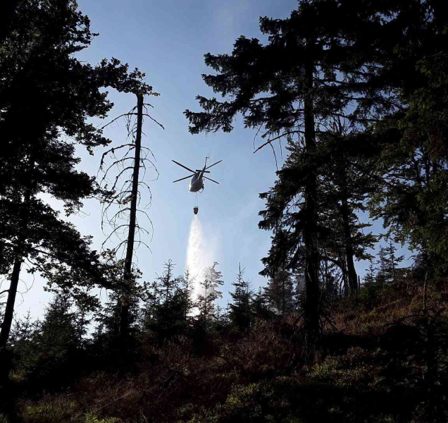 Plameny zasáhly půl hektaru lesa. Pomohl i vrtulník