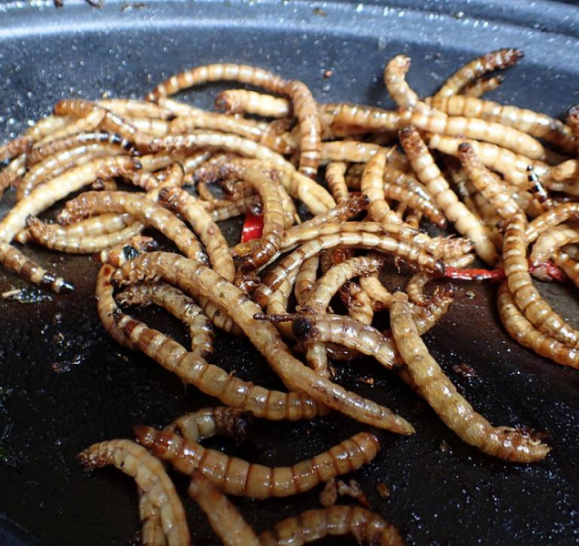 Festival extrémního jídla dorazí už v sobotu do Olomouce