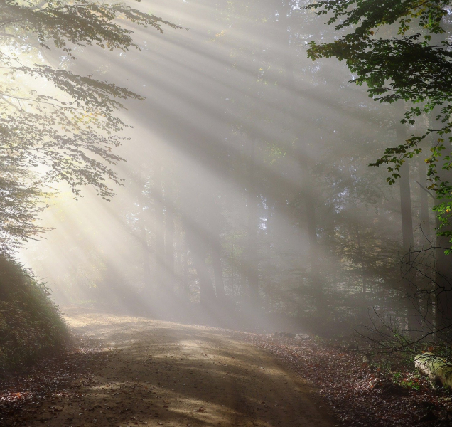 Sobotní teploty už nevyšplhají ani k desítce