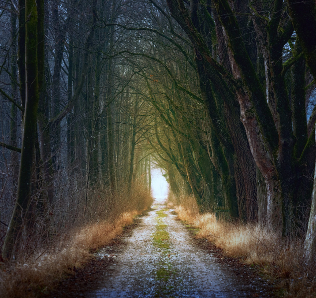 Začátek týdne bude v kraji studený, občas i se sněhem