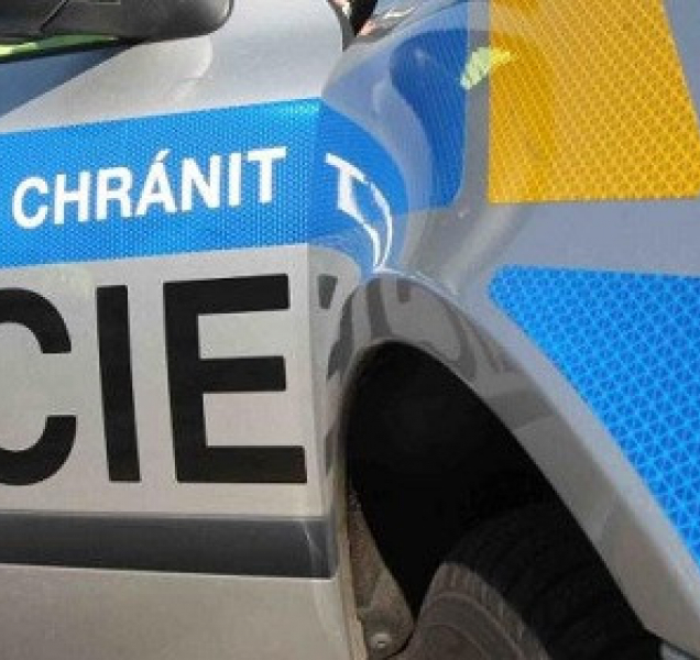 Speciální policejní hlídky, které zajistí pořádek