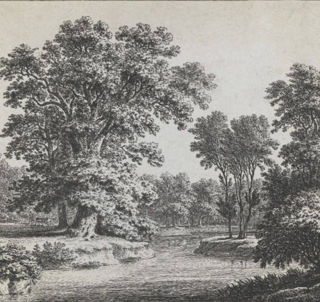 Olomoucké Muzeum připravilo novou expozici