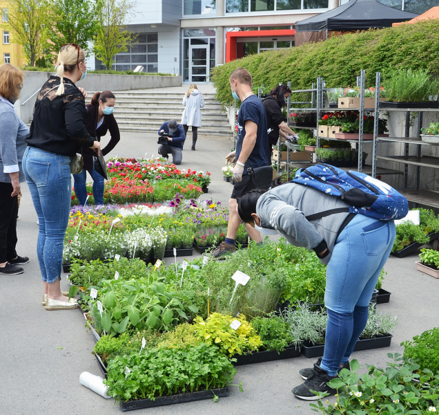 Květiny i zelenina: Zahradnické trhy na Floře už v sobotu