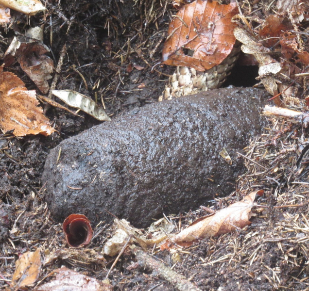 Muž mezi Kopečkem a Dolany našel granát